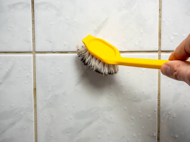 Best Professional Mold Removal  in Georgetown, SC