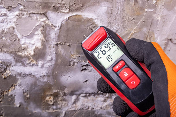 Best Mold Remediation  in Georgetown, SC